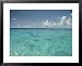 Bikini Atoll Healed from Nuclear Testing and is Now Teeming with Life, Notably the Gray Reef Shark Framed Art Poster Print by Bill Curtsinger, 31x25