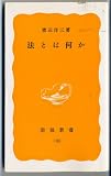 法とは何か (岩波新書 黄版 100)