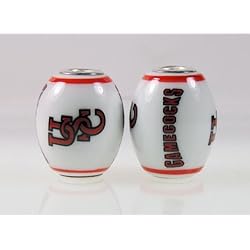 South Carolina Gamecocks Large Glass Bead Fits Most Pandora Style Bracelets