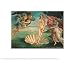 Birth Of Venus by Sandro Botticelli - Fine Art Print / Poster - 10.00 x 8.00