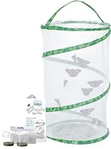 Live Butterfly Garden
