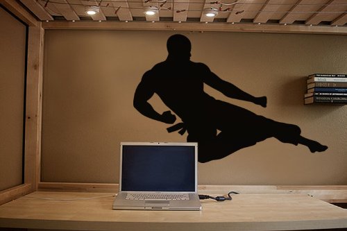 Vinyl Wall Art Decal Sticker Karate Flying Kick Martial Arts #225