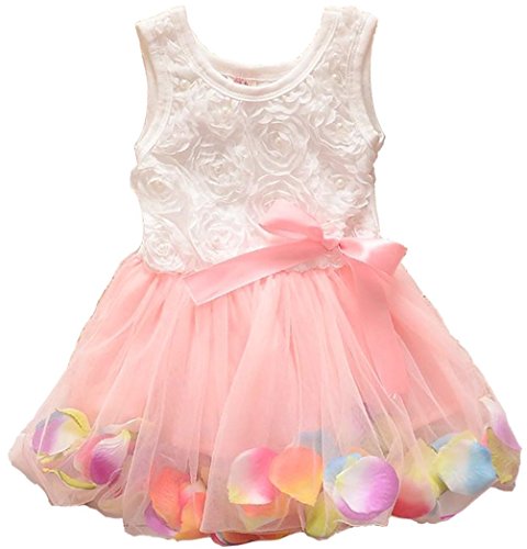 Kids Girls Princess Rose Garden Flower Petal Lace Ruffled Tulle Skirts Dresses