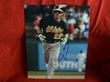 Adam Kennedy Autographed Oakland Athletics 8x10 Photo, Proof Photo of Adam Signing for Us.