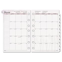 Day Runner Express Monthly Planning Pages Refill, 2010 Edition, 5.50 x 8.50 Inches, (061-685Y)