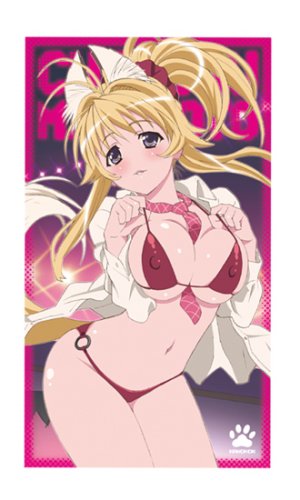 かのこん 源ちずるビッグタオル