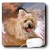 Dogs Cairn Terrier - Cairn Terrier - Mouse Pads