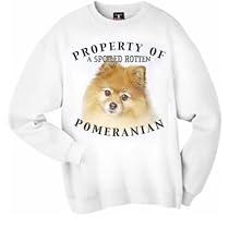 Pomeranian Property Of Adult Sweatshirt - XL