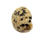 Jasper Pin 01 Dalmatian Spotted Oval Stone Art Jewelry Brooch Crystals Healing 1