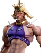 超像可動 「ジョジョの奇妙な冒険」第二部 40.ワムウ (荒木飛呂彦指定カラー)