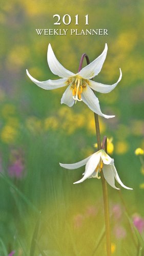 friendship poems in hindi friendship poems in hindi. friendship poems in hindi