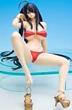 一騎当千DD 関羽雲長 -Summer Vacation- オーキッドシード版 完成品フィギュア