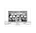 1961 photo signed by five of Tottenham s squad