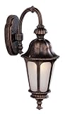 Bel Air Lighting PL-4273 BK Black Outdoor Wall Light