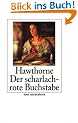 Der scharlachrote Buchstabe: Roman (insel taschenbuch)
