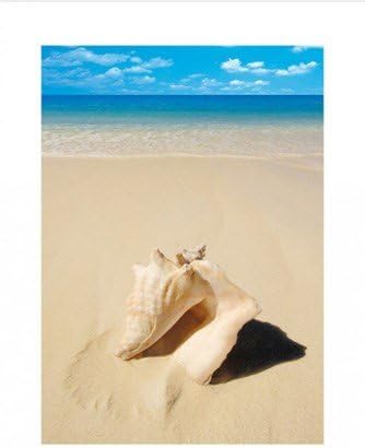 Beach Shell Conch on the Sand Print 60x80cm