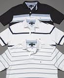 Tommy Hilfiger Federer, Ashe, & Connors Polo