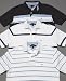 Apparel : Tommy Hilfiger Federer, Ashe, & Connors Polo