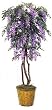 88" Purple Wisteria Tree