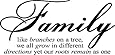 Family Like Branches On A Tree vinyl lettering wall sayings home art decor