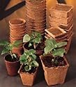 30 Burpee Seed Starting 3" Square Peat Pots
