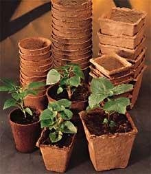 30 Burpee Seed Starting 3 Square Peat Pots