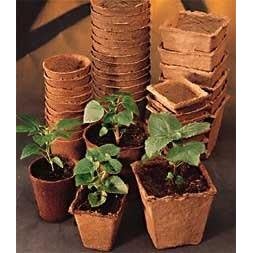 30 Burpee Seed Starting 3" Square Peat Pots