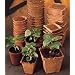 30 Burpee Seed Starting 3" Square Peat Pots