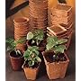 30 Burpee Seed Starting 3" Square Peat Pots