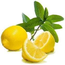 lemon mint decaffeinated tea