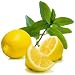 lemon mint decaffeinated tea