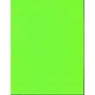 Compulabel® 313108 - Full Sheet Fluorescent Green Labels 100 Sheets