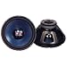 PYRAMID 12" SUPER BLUE WOOFER