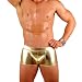 Mens Liquid Gold Metallic Hot Body Boxer Swimsuit Gary Majdell Sport Size Large