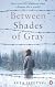 Between Shades of Gray