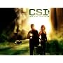 CSI: Crime Scene Investigation Season 9