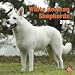 German Shepherds, White 2010 Square Wall