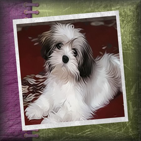Susan Brown Designs Animal Themes - Posing Puppy - Caps