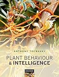 Plant behaviour and intelligence