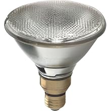 GE 25679 100-Watt Halogen Flood PAR38 Light Bulb, 2-Pack