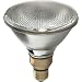 GE 25679 100-Watt Halogen Flood PAR38 Light Bulb, 2-Pack