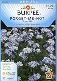 Burpee 43778 Forget-Me-Not Blue Bird Seed Packet