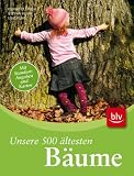 Produkt-Bild: Unsere 500 &auml;ltesten B&auml;ume: Exklusiv aus dem Deutschen Baumarchiv
