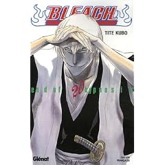 Bleach, Tome 20 :