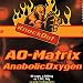 US Testo Booster auf NO2-Basis by KnockOut-Nutrition - AnabolicOxygen-Matrix - 60 Kapseln