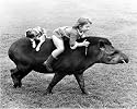 Child and dog riding on a tapir art print 30x37 cm by John Drysdale