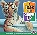 A Tiger Cub Grows Up (Baby Animals)