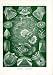 Ernst Haeckel 1904 - Teleostei - Artforms of Nature Kunstformen der Natur Fine Art Pr...