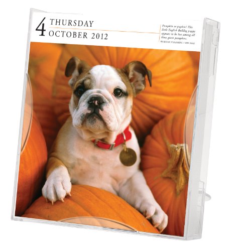 Dog 2012 Gallery Calendar (Page a Day Gallery Calendar) [Calendar]