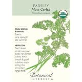 Parsley Moss Curled Certified Organic Heirloom Seeds 500 Seeds